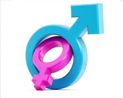 Research focuses on sex and power Research shows workplace harassment is common.